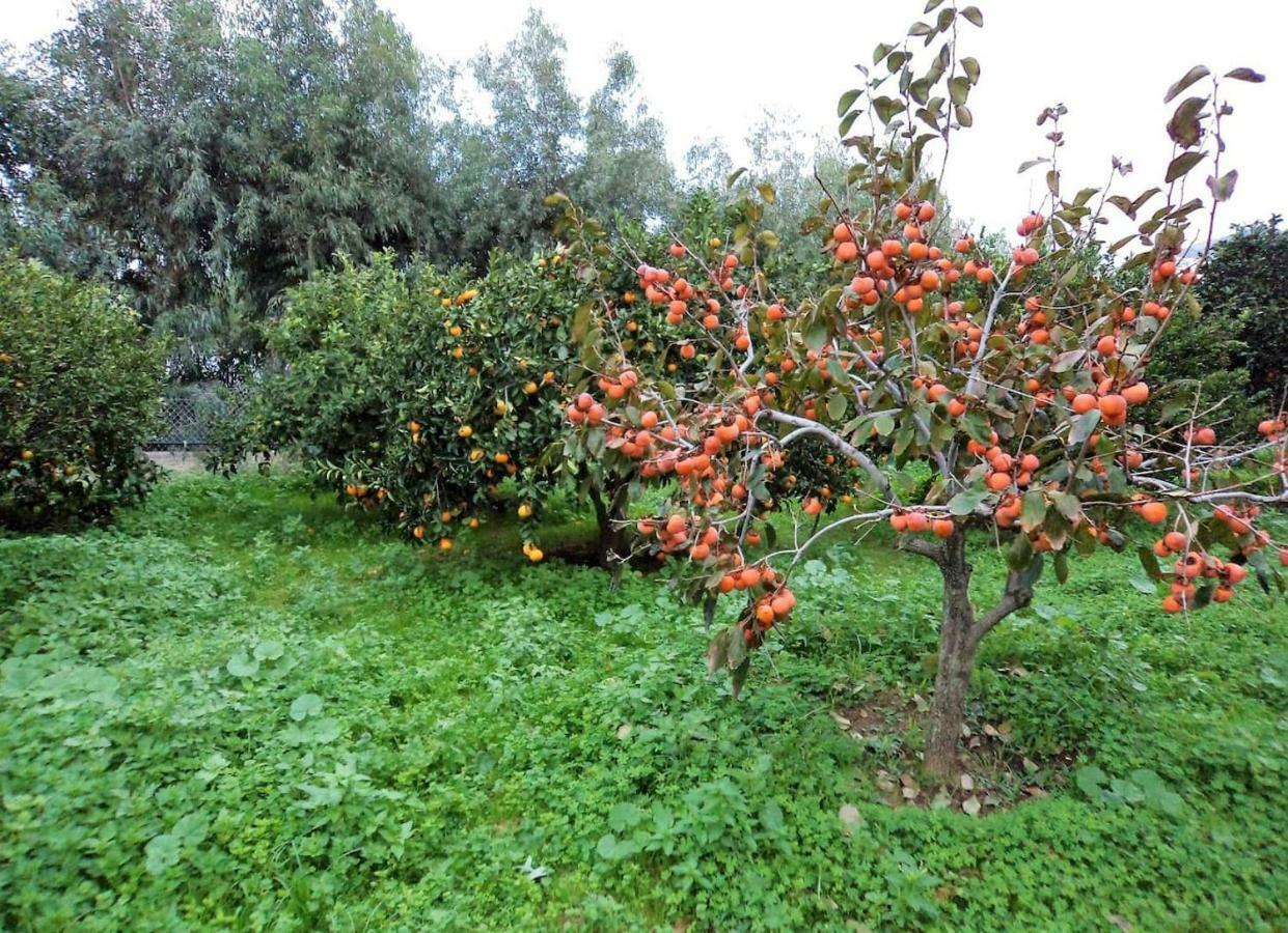 Modern Villas With Gardens And Stunning Views Лигарья Экстерьер фото